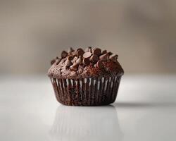 A Chocolate Cupcake with Chocolate Chips on Top photo