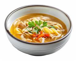 A Bowl of Soup with Noodles and Vegetables photo