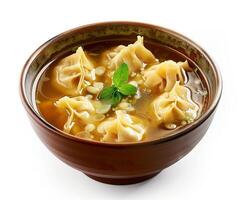 A Bowl of Soup with Dumplings in It photo