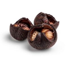 three nuts are shown on a white background photo