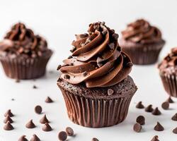 Chocolate cupcakes with chocolate frosting and chocolate chips photo