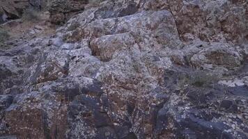 The drone is close to the rocks in the mountainous area. A sunny summer day. video