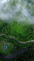 Vertical Drone Footage of the road in the forest with fog and cloud video