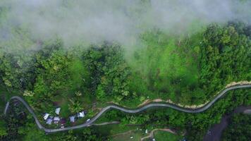 Aerial view of the road in the forest with fog and cloud video