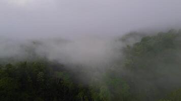 Aerial view of fog in the mountain at Gorontalo, Indonesia. Sunrise over the clouds in the morning video