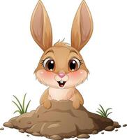 Cartoon rabbit emerged from the hole vector
