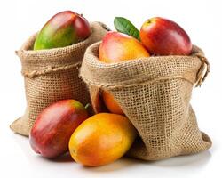 mangos in jute bags isolated on white background photo