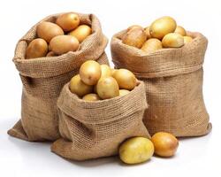 three sacks of potatoes on a white background photo