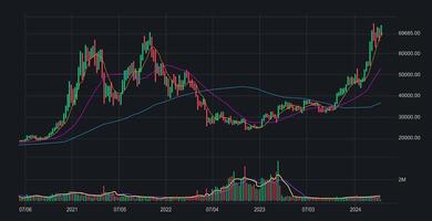 Bitcoin trading chart with financial graph during 2023-2024 illsutration vector
