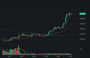 Bitcoin trading chart with financial graph during 2021-2024 illsutration vector