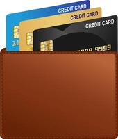 Wallet in front view and credit card illustration vector