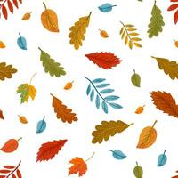 autumn seamless pattern. Repeated fall texture. Cozy hand drawn seasonal background. Foliage vector