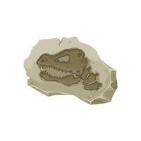 Dinosaur fossil, tyrannosaurus dino skull imprint vector