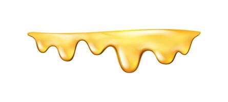 Dripping honey or sticky oily nectar melting vector
