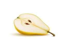 Raw realistic yellow pear fruit Isolated 3d half vector