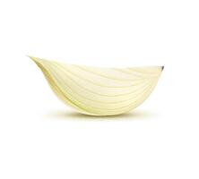 Isolated realistic yellow onion vegetable quarter vector