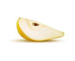 Raw realistic yellow pear fruit ripe quarter slice vector