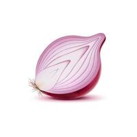 Realistic red raw onion half, halved vegetable vector