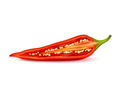 Realistic isolated half chili pepper with seeds