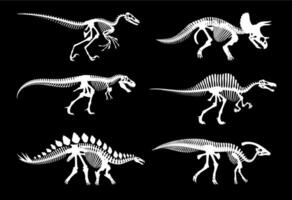 Dinosaur fossil skeletons and Jurassic dino bones vector