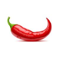 Raw isolated whole chili pepper with curve tip vector