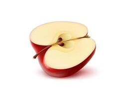 Realistic half of ripe red apple isolated 3d fruit vector