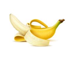 Realistic isolated banana Isolated 3d fruit vector