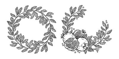 Set of round wreaths with fruits and pomegranate leaves. botanical black and white frame, hand drawn in graphic style. Drawing for design of food and cosmetics packaging, menus, postcards vector