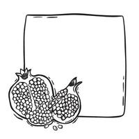 Square frame with different halves of a pomegranate. botanical black and white outline frame, hand drawn in graphic style. Drawing for design of food and cosmetics packaging, postcards, paper vector
