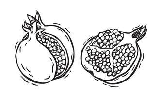 A whole pomegranate fruit and half with pulp. botanical black and white hand drawn illustration in linocut style on isolated background. Drawing for food and cosmetics packaging design, menu vector