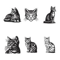 set of Tabby's cat silhouette illustration design vector