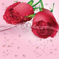 dos rojo rosas con agua gotas en ellos y uno tiene agua gotas en él. vector