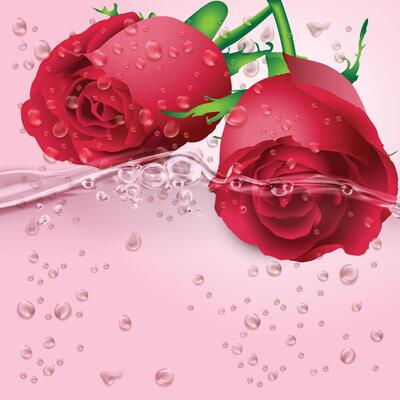 Two red roses with water drops on them and one has water drops on it.