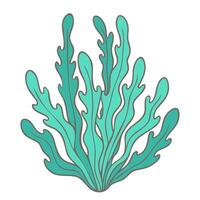 Seaweed on the ocean bottom isolated on white background. vector