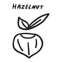 Hazelnut. Outline icon. Black color. hand drawn illustration on white background. vector