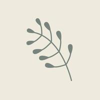 Hand Drawn Botanical Chic Bohemian Shape Element vector