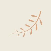 Hand Drawn Botanical Chic Bohemian Shape Element vector