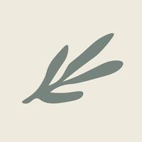 Hand Drawn Botanical Chic Bohemian Shape Element vector