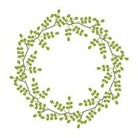 wreath of meadow leaves. Botanical frame. Template for a postcard. Green circle of leaves and branches. Concept of spring and summer holiday invitation. vector