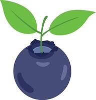 A blueberry isolate with leaves vector