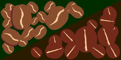 differences between arabika and robusta coffee beans vector