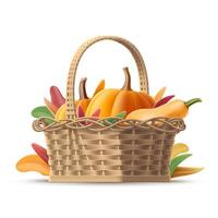 illustration of 3D wicker basket with orange pumpkin of various shapes in leaves. Isolated volumetric squash, gourd realistic template for greeting card, Halloween banner. Autumn background vector