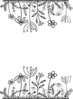 Border or frame made of wildflowers and herbs. Decorative frame for printing on fabric, ribbons and paper. vector