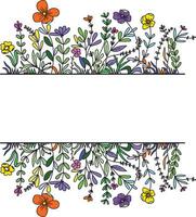 Isolated Colorful Line Frame Icon Leaf Floral Border Divider with Circular, rectangle or hexagon pink or red flower for save the date wedding tag name invitation vector