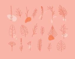 Set of different forms leaves in minimalism flat style on coral background vector