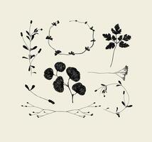 Branches and leaves silhouettes set drawing on beige background vector