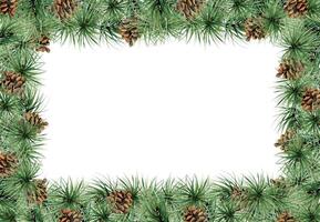 Pine tree, fir tree, spruce branches with needles, cones. Watercolor hand drawn illustration, border frame isolated on white. Xmas, happy new year festive, noel navidad. Cards, gifts, florist shop. vector