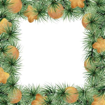 Pine tree, fir tree, spruce branches, gold bauble balls. Watercolor hand drawn illustration, border frame isolated on white. Xmas, happy new year festive, noel navidad. Cards, gifts, florist shop.