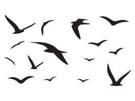 A Flock of Flying Birds Abstract illustration of flying birds. Birds stock illustration vector