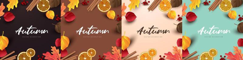 Autumn card banner background layout template with autumn leaves season decorate vector